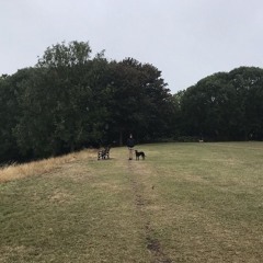 Tilly 150925
