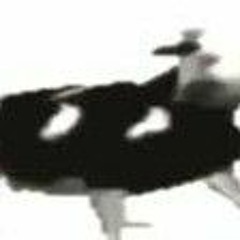 Vaca dançando ao som de musica polonesa