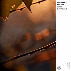 Nogymx & Socrab - Lucid Daydreams