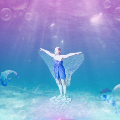 Dolphin Dreamland