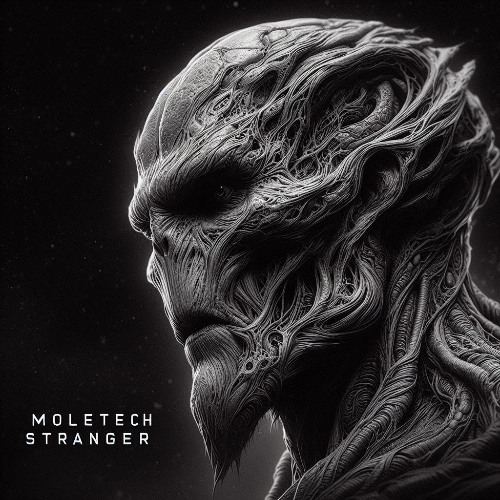 MOLΞTΞCH (CRO) - Stranger (Original Mix)