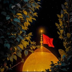 اجمل ساقي_