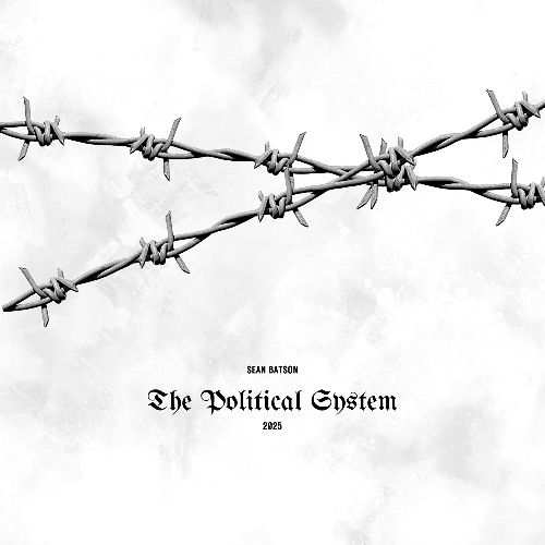 THE POLITICAL SYSTEM