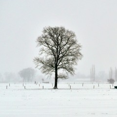 Silence