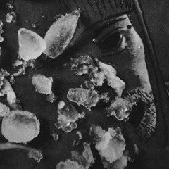 mxp - defekt rough_demo1.wav