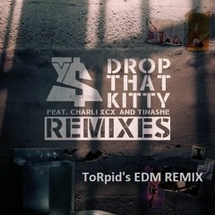 Ty Dolla $ign - Drop That Kitty ft. Charli XCX and Tinashe ( EDM Remix )