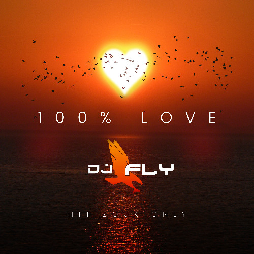100% Love By Dj Fly