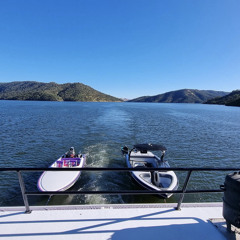 🌊🚤