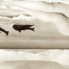 shoalsoul