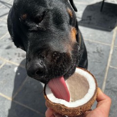 SOLEFOOL