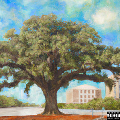 2022: A COLLECTION OF REFLECTION (UNRELEASED/ROUGH CUTS)