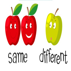 Same Difference