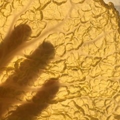 asche, knochen und tausendfüßler