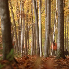 If Theres A Bar In Heaven Demo