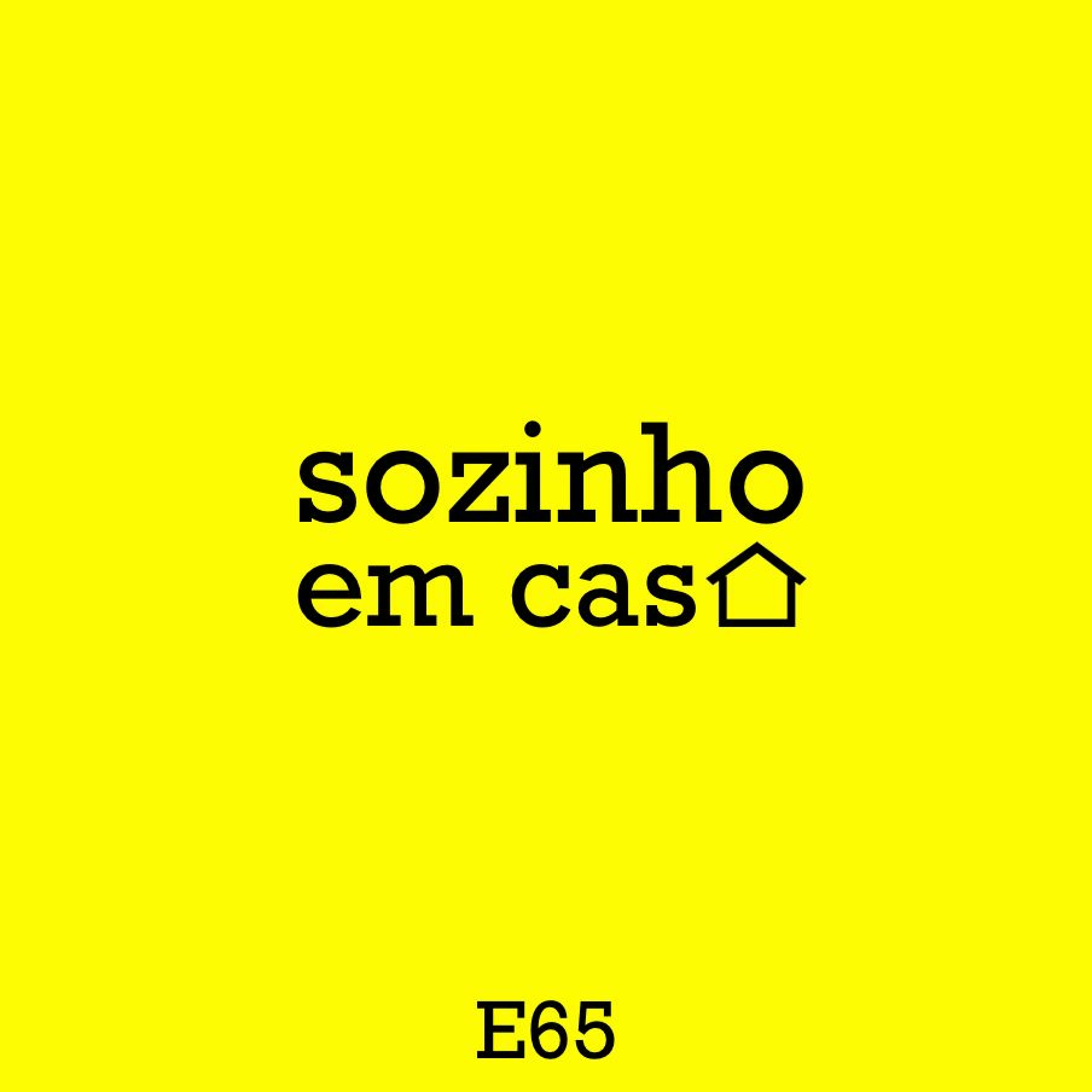 sozinho em casa