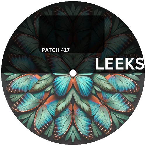 Leeks - Patch 417 (Original Mix) (Techno / Hardgroove)
