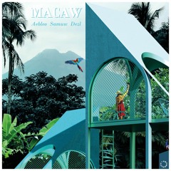 Macaw (Ft Dezl & Aebleo)