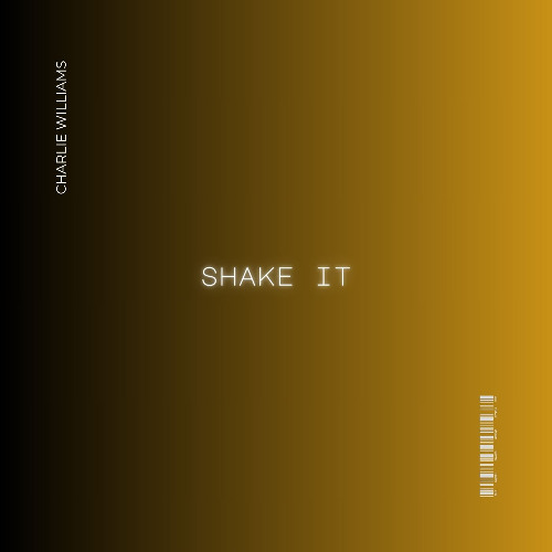 shake it (FREE DL)