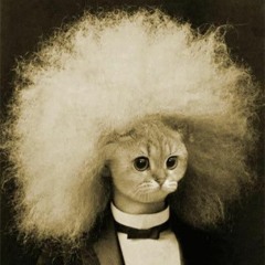Afro Cat