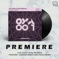 PREMIERE: Liam Sieker, Andy Woldman - Panther (Lemon8 Inner Sanctuary Remix) [ONEDOTSIXTWO]