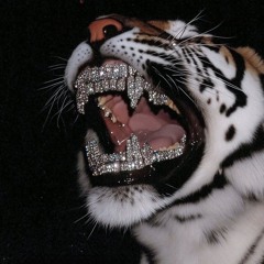 Luli Arce x Emi x Nasheee- Elvira