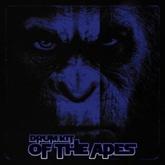 DRUM LOOPS OF THE APES