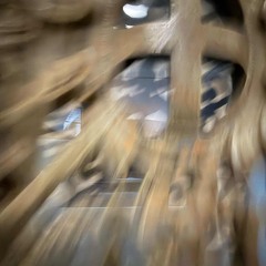 anything with Henry Mosto and Laker Brady (p. pai & plat)