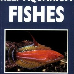[Read] [EBOOK EPUB KINDLE PDF] A PocketExpert Guide to Reef Aquarium Fishes: 500+ Essential-to-Know