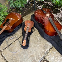 Adore You. Harry Styles. CELLO