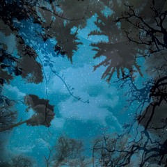 Ethereal Jungle