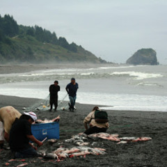 EV II: Inventions of the Mind\ my Phaser keeps Dropping