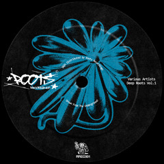 Carvalho (BR) - Twelve Hours [Roots Recordings] [MI4L.com]