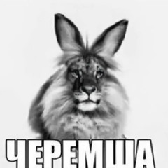 джерк мясо эээээээ здравствуйте