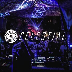 Celestial - Hidden Leaf & Wetechno - Reality Check DJ Mix