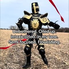 Knight Fever