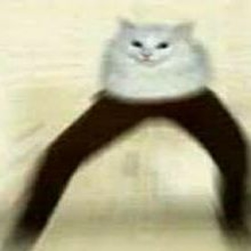 Stream The Penis Song (Eek) Calico's World Cover by Calico's World ...