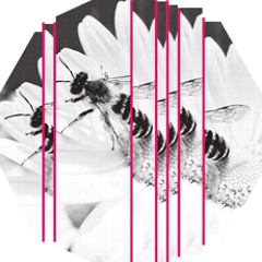PREMIERE - A Thin Man - Catch The Strings [Justracks]