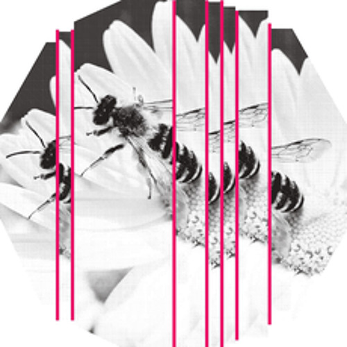 PREMIERE - A Thin Man - Catch The Strings [Justracks]