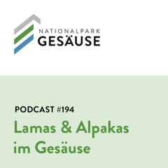 Podcast #194 Lamas und Alpakas im Gesäuse