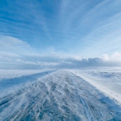 Whiteout