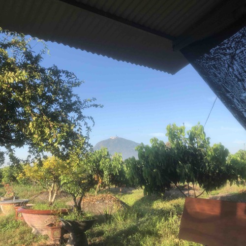 Yêu Em và Cơn Mưa Tình Yêu