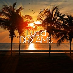 Lucid Dreams #22 by Darius Dudonis
