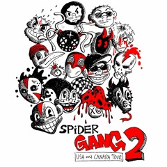 SPIDER GANG (UNKNØWN)