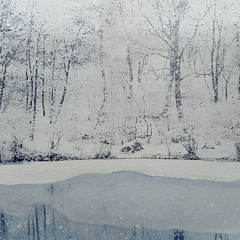 If only you could feel