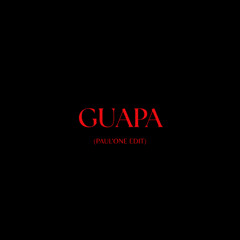 Leon (FR), Moojo & RE\MIND - Guapa (Paul'one Edit) SKIP TO 2:15