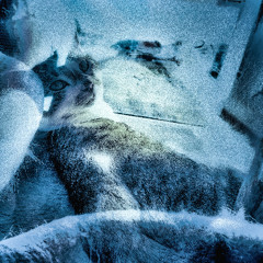 Blue Is The Color Of My Dreams (November 2025)