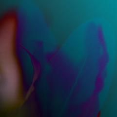 detached intermission