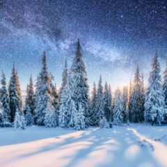 Kindness-Like-Snow-19