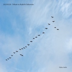 20230328 (Tribute di Ryūichi Sakamoto)