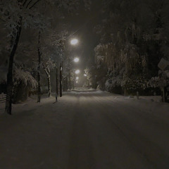 Night